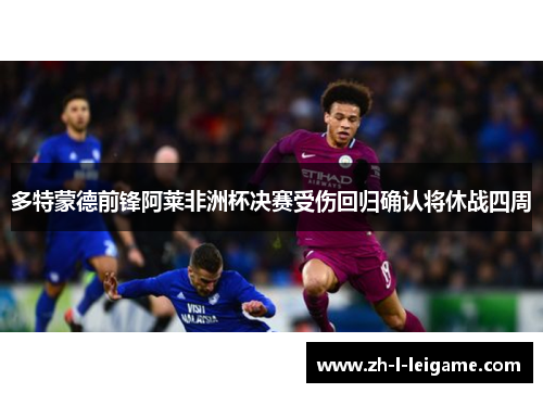 多特蒙德前锋阿莱非洲杯决赛受伤回归确认将休战四周