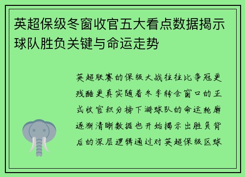 英超保级冬窗收官五大看点数据揭示球队胜负关键与命运走势